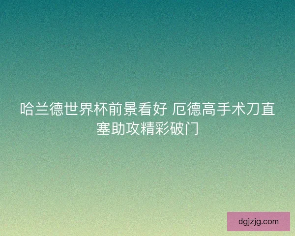 哈兰德世界杯前景看好 厄德高手术刀直塞助攻精彩破门